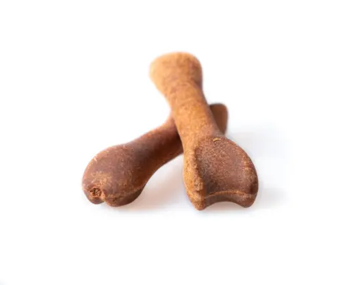 Treateaters Biscuit Bone Med Kylling Small