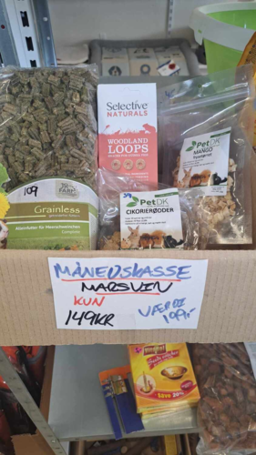 Månedskasse Marsvin