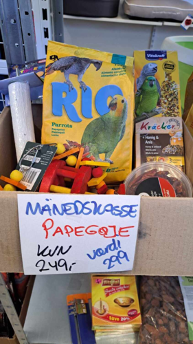 Månedskasse Papegøje