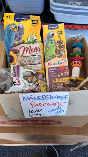 Månedskasse Papegøje