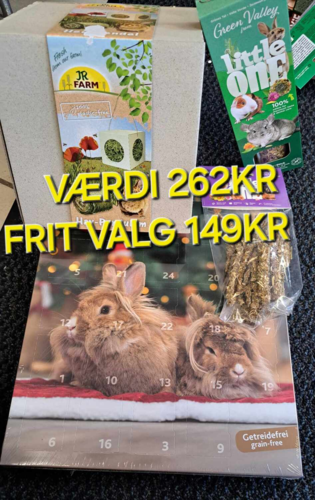 Adventskalender Til Gnaver