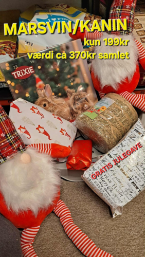 Gnaver Adventskalender + Gratis JULEGAVE