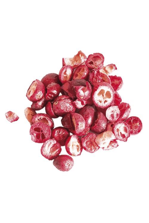 Frysetørret Tranebær 20g