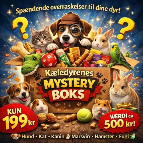 Kæledyrenes Mystery Box