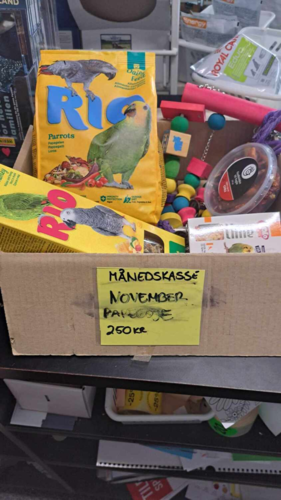 Månedskasse Papegøje