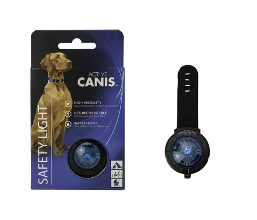Active Canis Lys