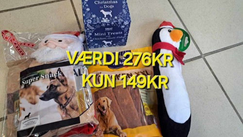 Adventskalender Til Hund