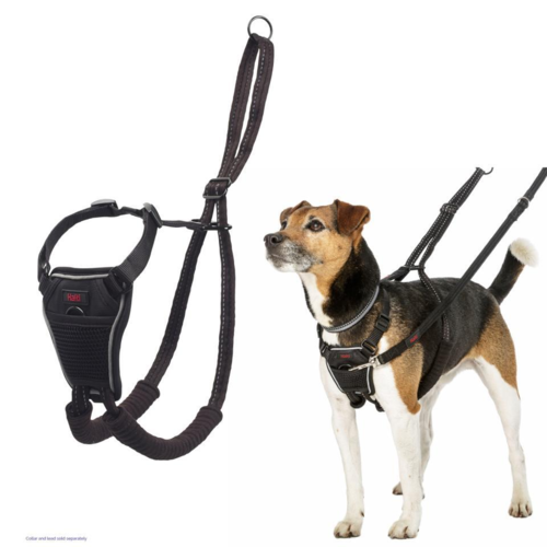 Halti No Pull hundesele
