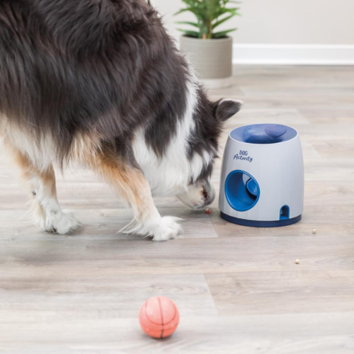 Dog Activity Bold og Godbid Udsmider