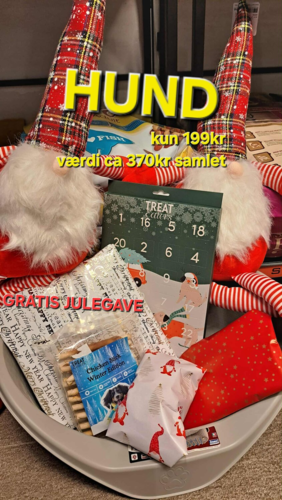 Hunde Adventskalender + Gratis JULEGAVE