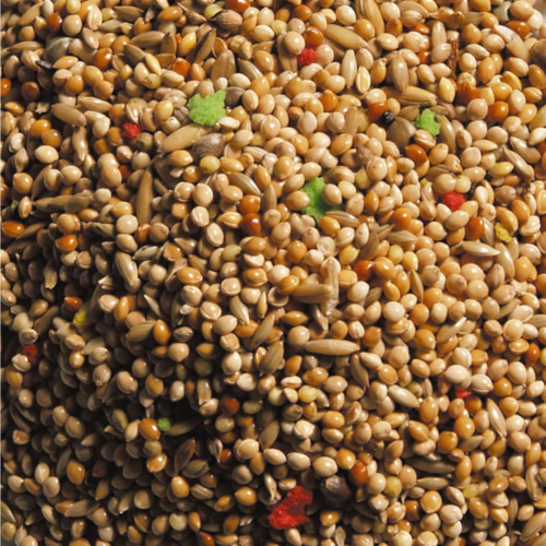 Natural King Standard Undulat