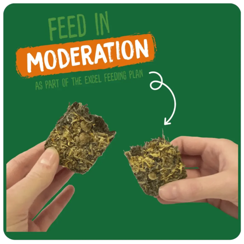 Burgess Excel Forage & Feast Bar Marigold 60g