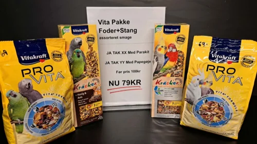 Vita Bokse Parakit/papegøje