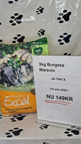 Burgess 3kg Marsvin