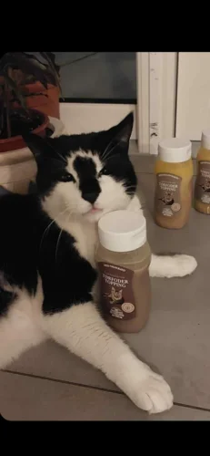 Tørfoder Med Topping Kylling Kat