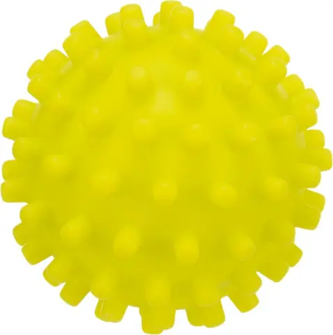 Pindsvinsbold