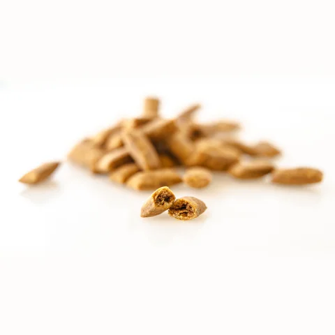 Clever Cat Pillows 30g Beef