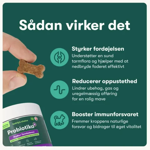 Buddys Choice Probiotika