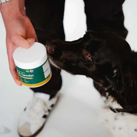 Buddys Choice Mund og Tænder