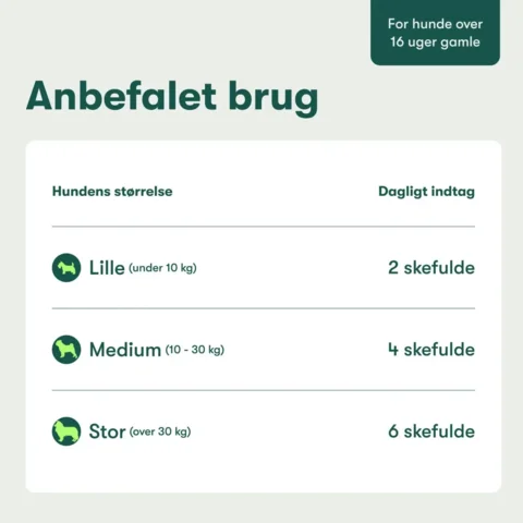 Buddys Choice Mund og Tænder