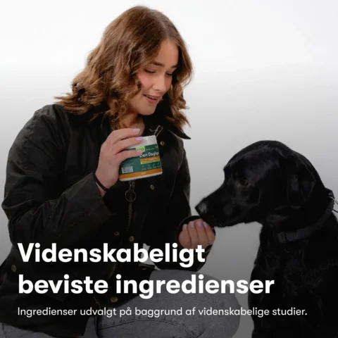 Buddys Choice Den Daglige