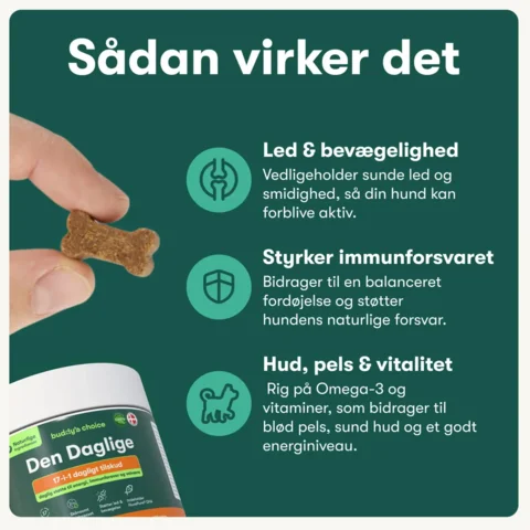 Buddys Choice Den Daglige
