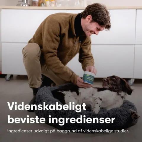 Buddys Choice Analkirtel