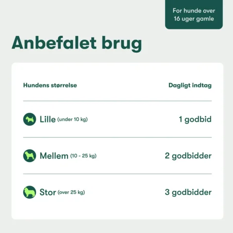 Buddys Choice Analkirtel