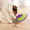 Hunde Dog Treat Maze Aktivitet