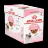 Royal Canin Katte Vådfoder Kitten 12 breve