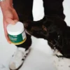 Buddys Choice Mund og Tænder
