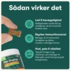 Buddys Choice Den Daglige