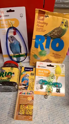 Månedskasse Undulat