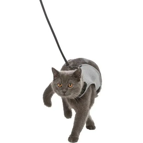 X-Cat kattesæt m. elastik line