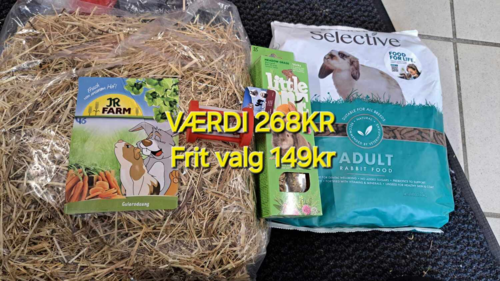 Adventskalender Til Kanin