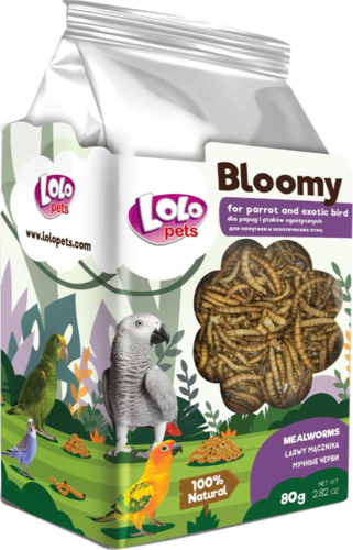 Bloomy Mealworm - larver til papegøjer og eksotiske fugle