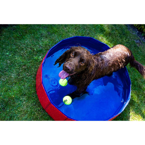 Hunde pool 120*30cm