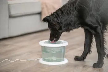 Bubble Stream vandautomat