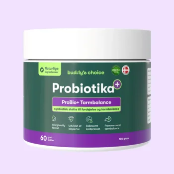 Buddys Choice Probiotika